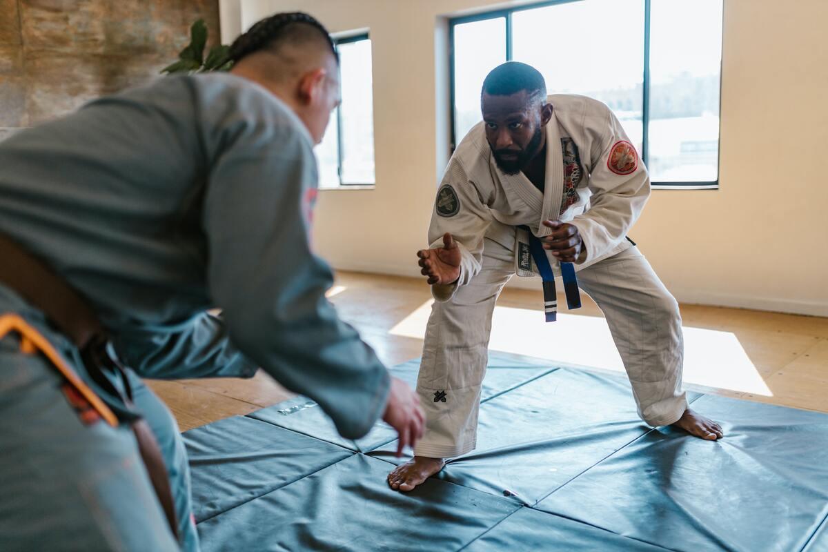 Progresseraujudo